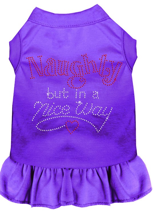 Rhinestone Naughty but in a nice way Dress Purple Sm